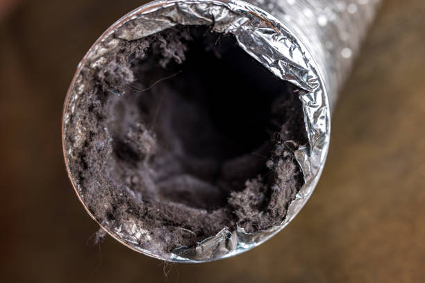 Best Mold and Mildew Removal from Ducts in Fountain Valley, CA